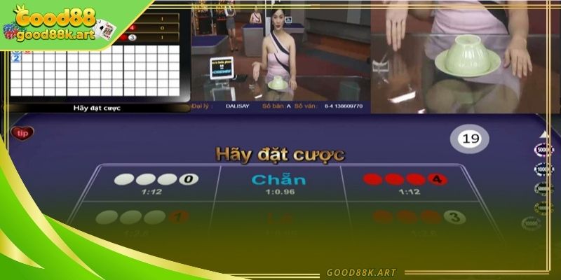 Mẹo xóc đĩa giúp duy trì sự ổn định và hạn chế rủi ro